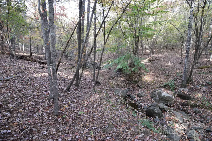 3537 Shillinglaw Road, Sharon, SC 29742 - Image #2