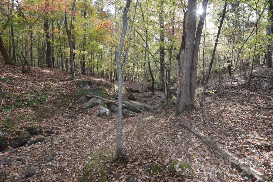 3537 Shillinglaw Road, Sharon, SC 29742 - Image #3