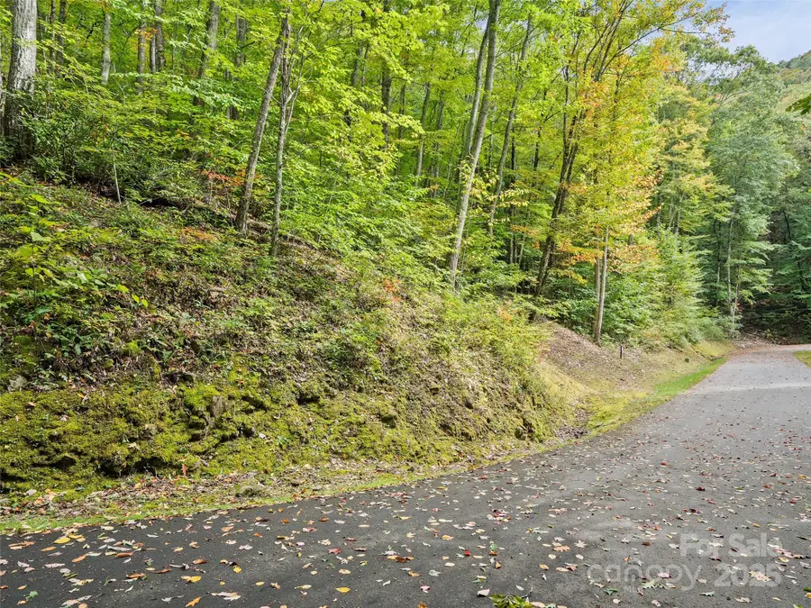 Lot 23 Finlaystone Trace, Waynesville, NC 28786 - Image #2