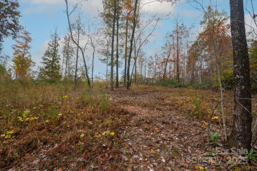 269 Mooseheart Road, Nebo, NC 28761 - Image #2