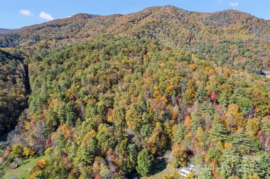 00 Forest Service Road 288 Road, Waynesville, NC 28785 - Image #2