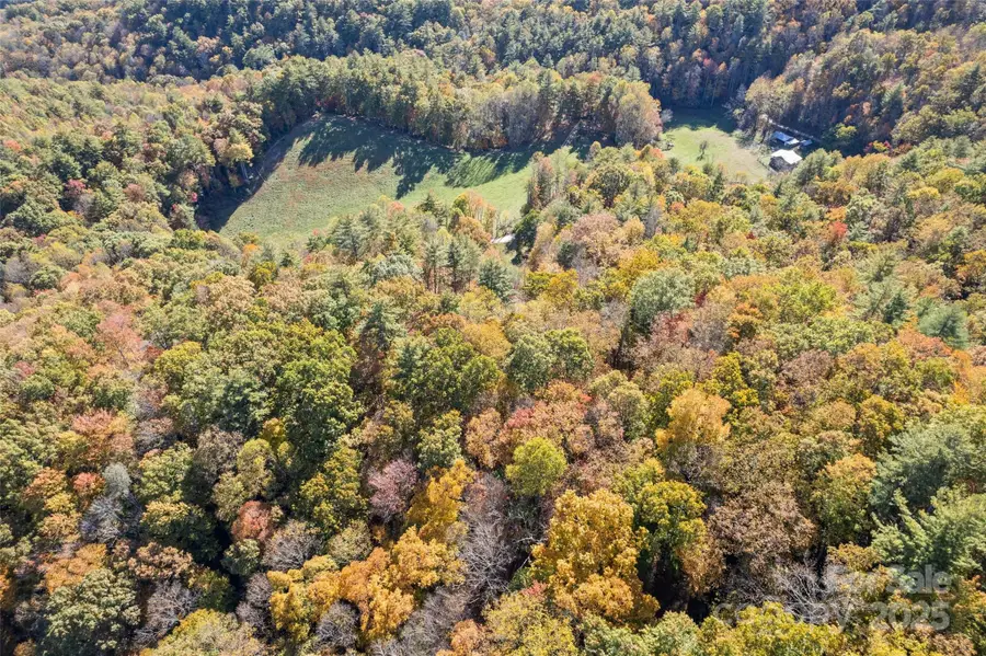 00 Forest Service Road 288 Road, Waynesville, NC 28785 - Image #3