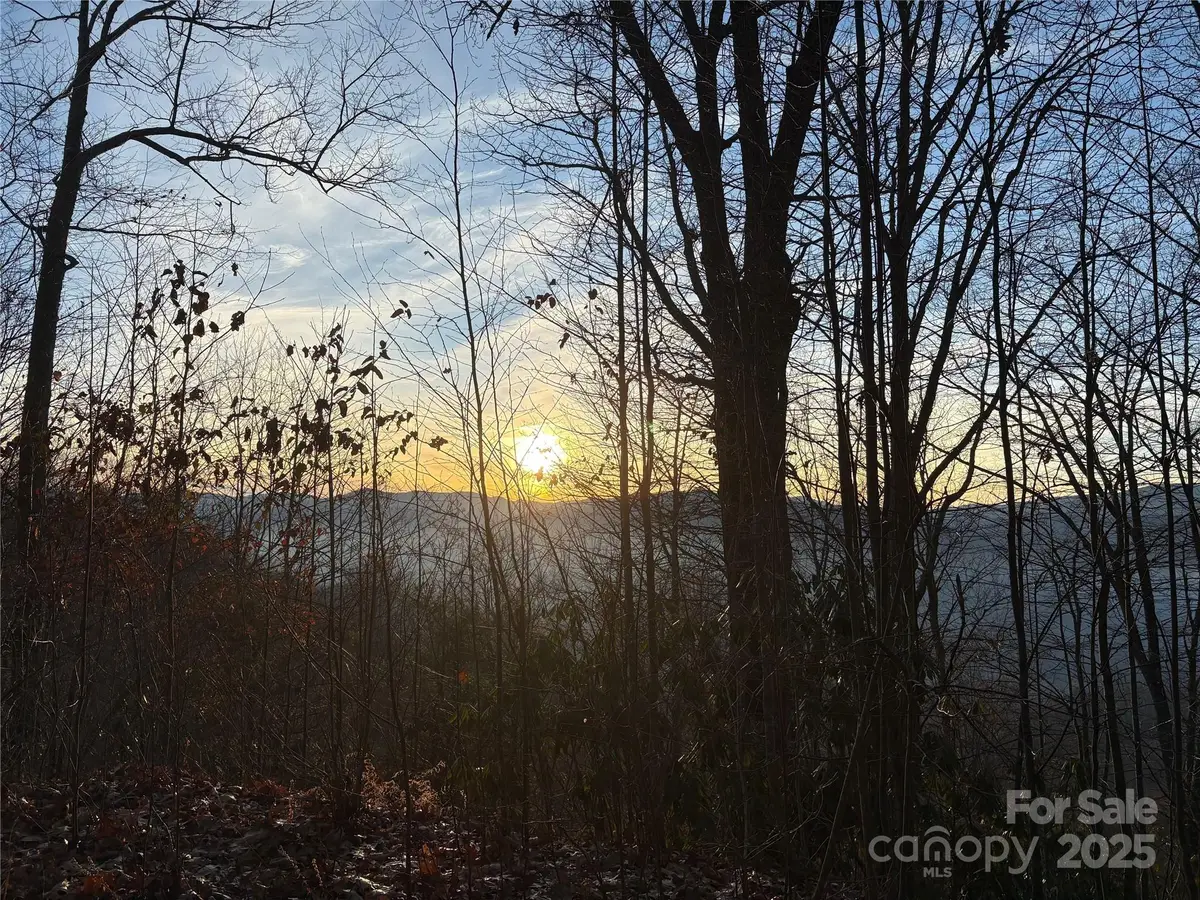 899 Hyacinth Drive, Clyde, NC 28721 - Image #1