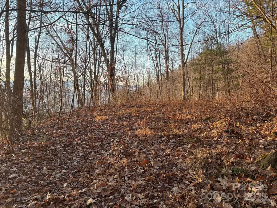 899 Hyacinth Drive, Clyde, NC 28721 - Image #3