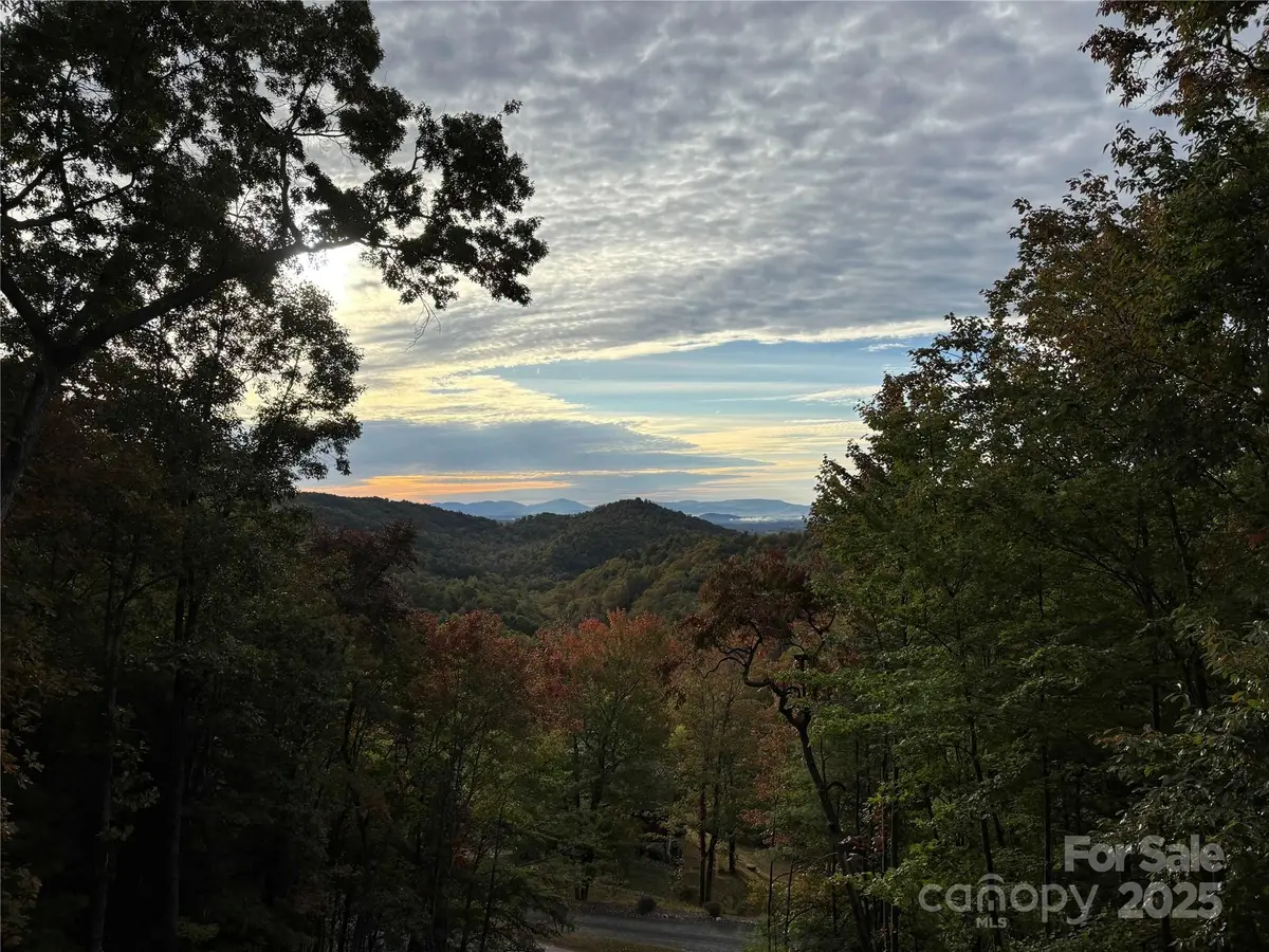 410 Doe Run, Purlear, NC 28665 - #1