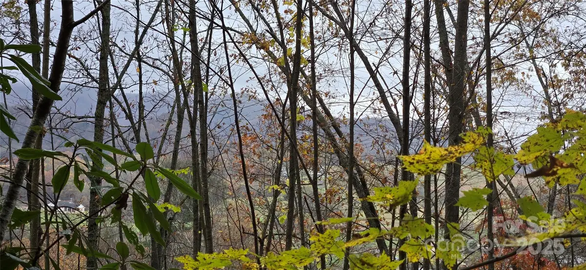 62 Turkey Hollow Court, Waynesville, NC 28785 - Image #1