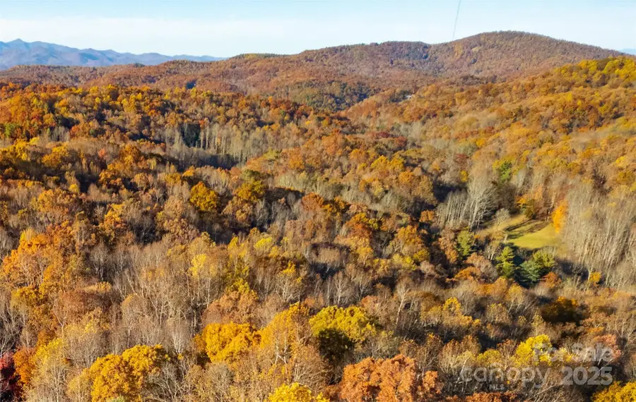 Lot 342 Severy Lane #342-A, Brevard, NC 28712 - Image #3