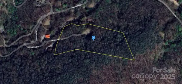 4 Falcons Peak Lane, Whittier, NC 28789