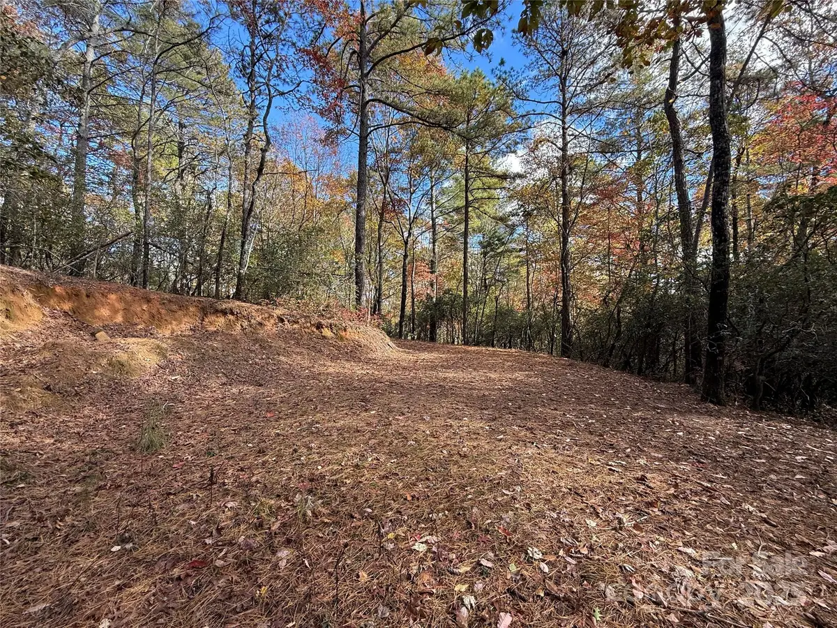 171 Duff Cove Road, Brevard, NC 28712 - #1