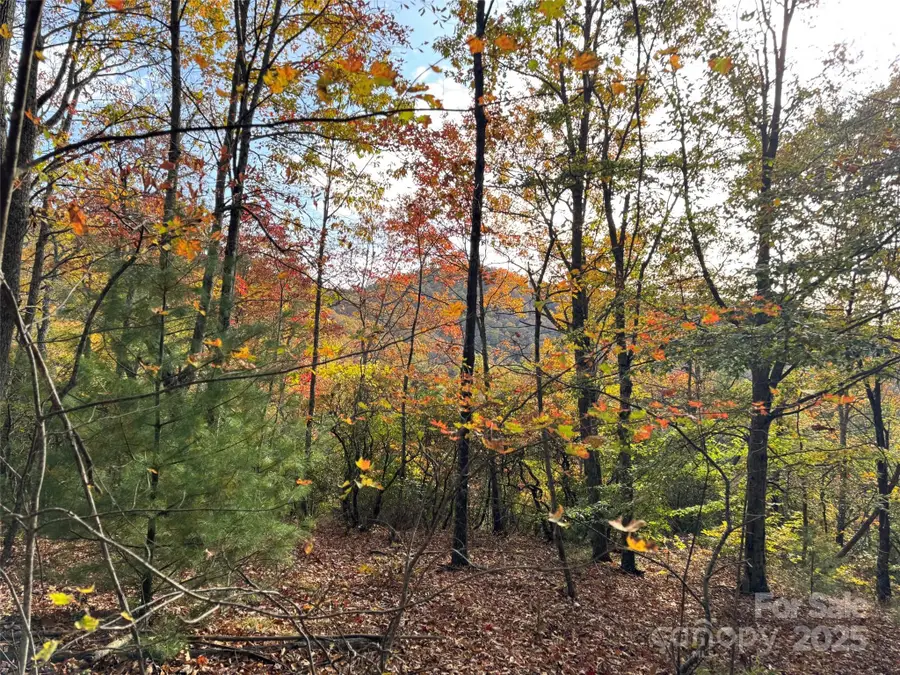 692 Blue Mist Way #205R, Arden, NC 28704 - Image #2