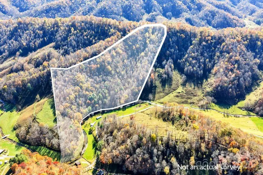 tbd E Little Horse Creek Road, Lansing, NC 28643 - Image #2