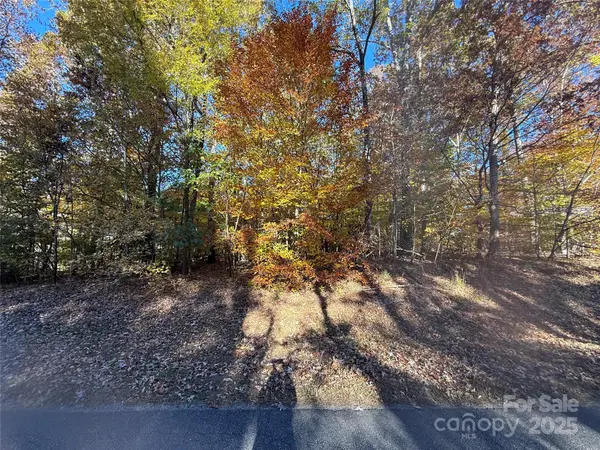 Lot Amesbury Drive, Mt Ulla, NC 28125