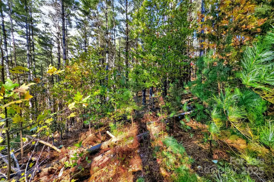 0 West Point Drive, Nebo, NC 28761 - Image #3