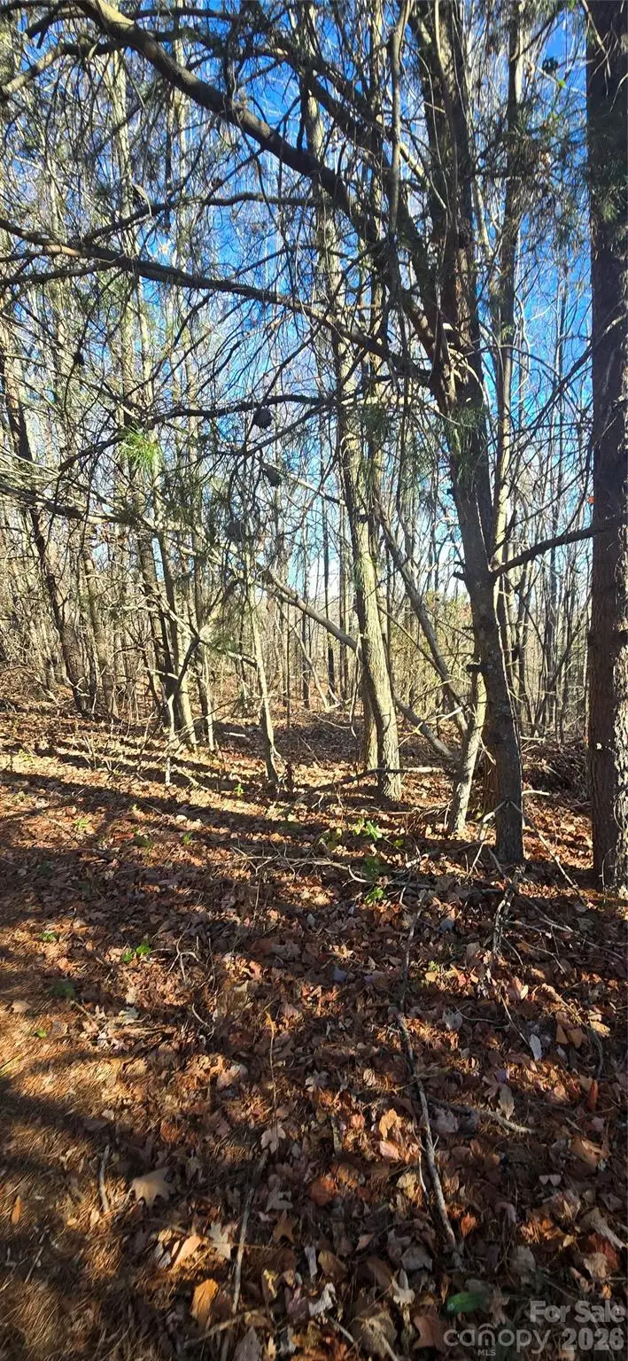 0 Gettys Road, Ellenboro, NC 28040 - #3