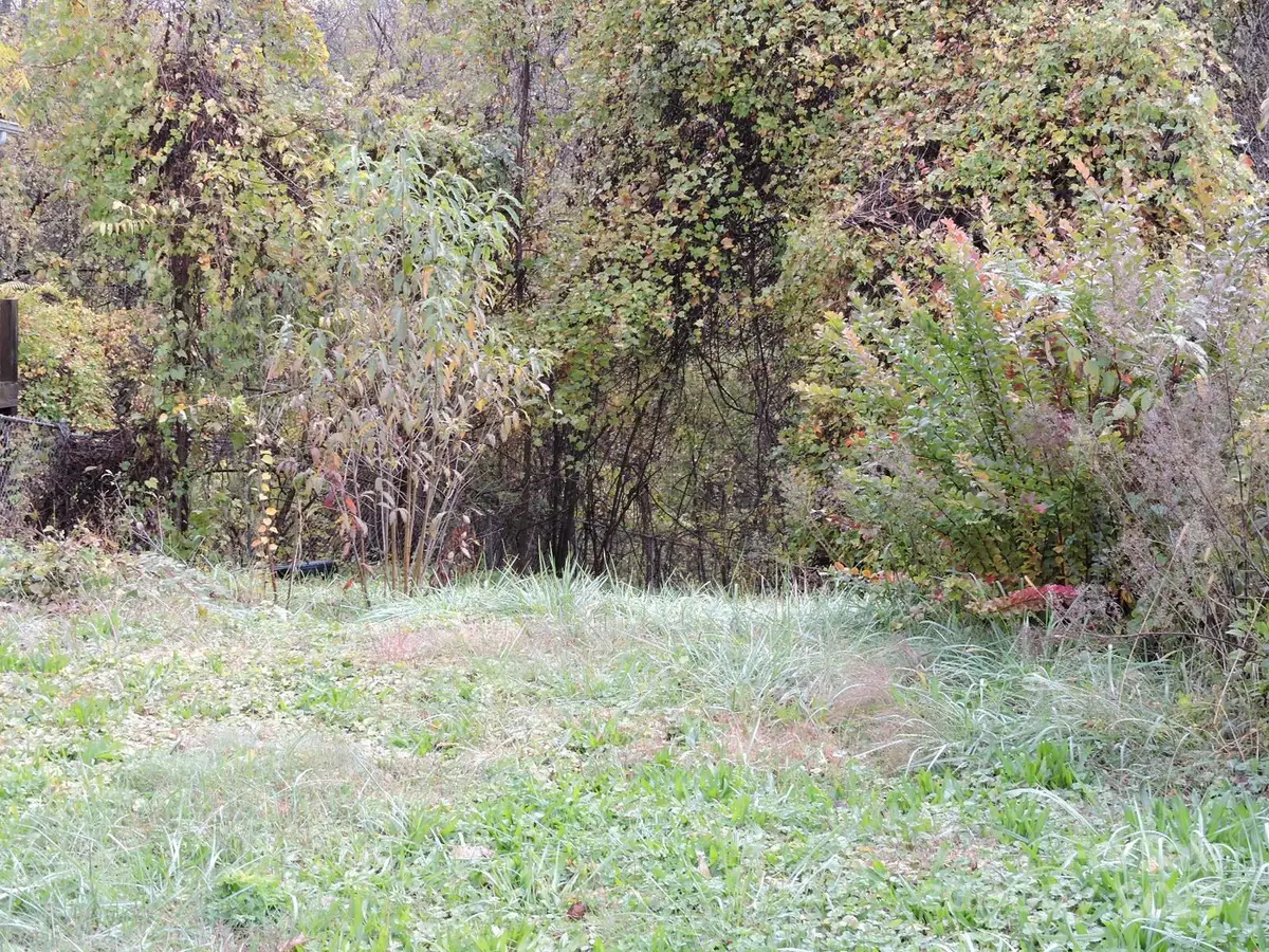 43 Argyle Lane, Asheville, NC 28806 - Image #1