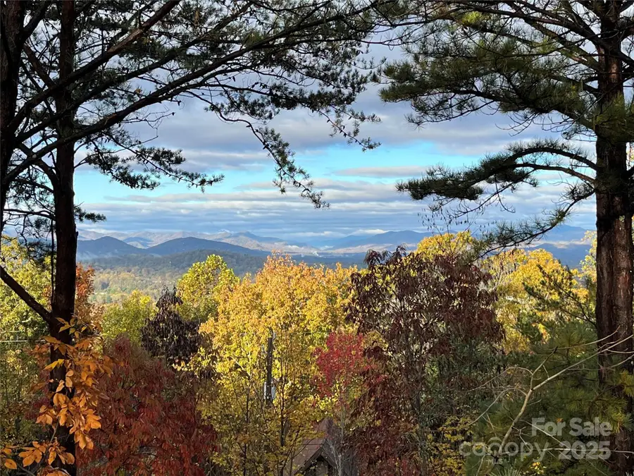 105 Avondale Heights Road, Asheville, NC 28803 - Image #2