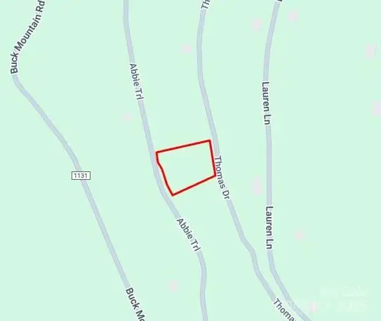 0000 Abbie Trail, West Jefferson, NC 28694 - Image #2