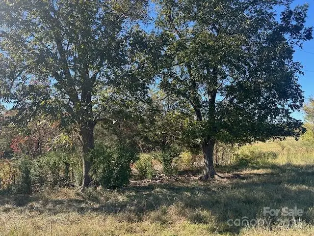 00 White Store Road, Wingate, NC 28174 - Image #1