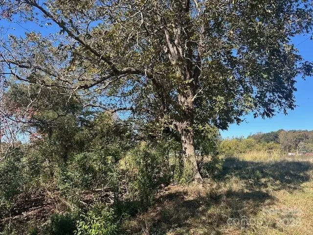 00 White Store Road, Wingate, NC 28174 - Image #2