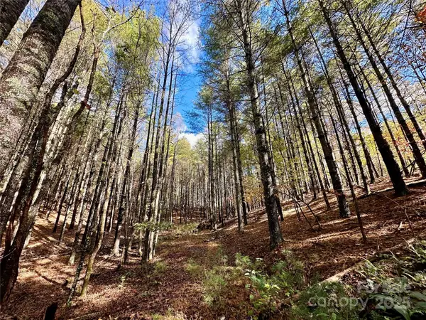 146 Bream Flats Drive #40, Nebo, NC 28761