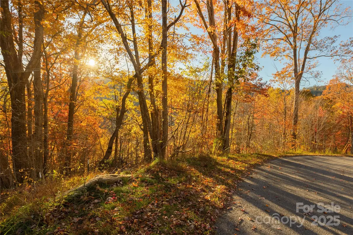 0 Wesley Creek Road #1 and 2, Clyde, NC 28721 - Image #1