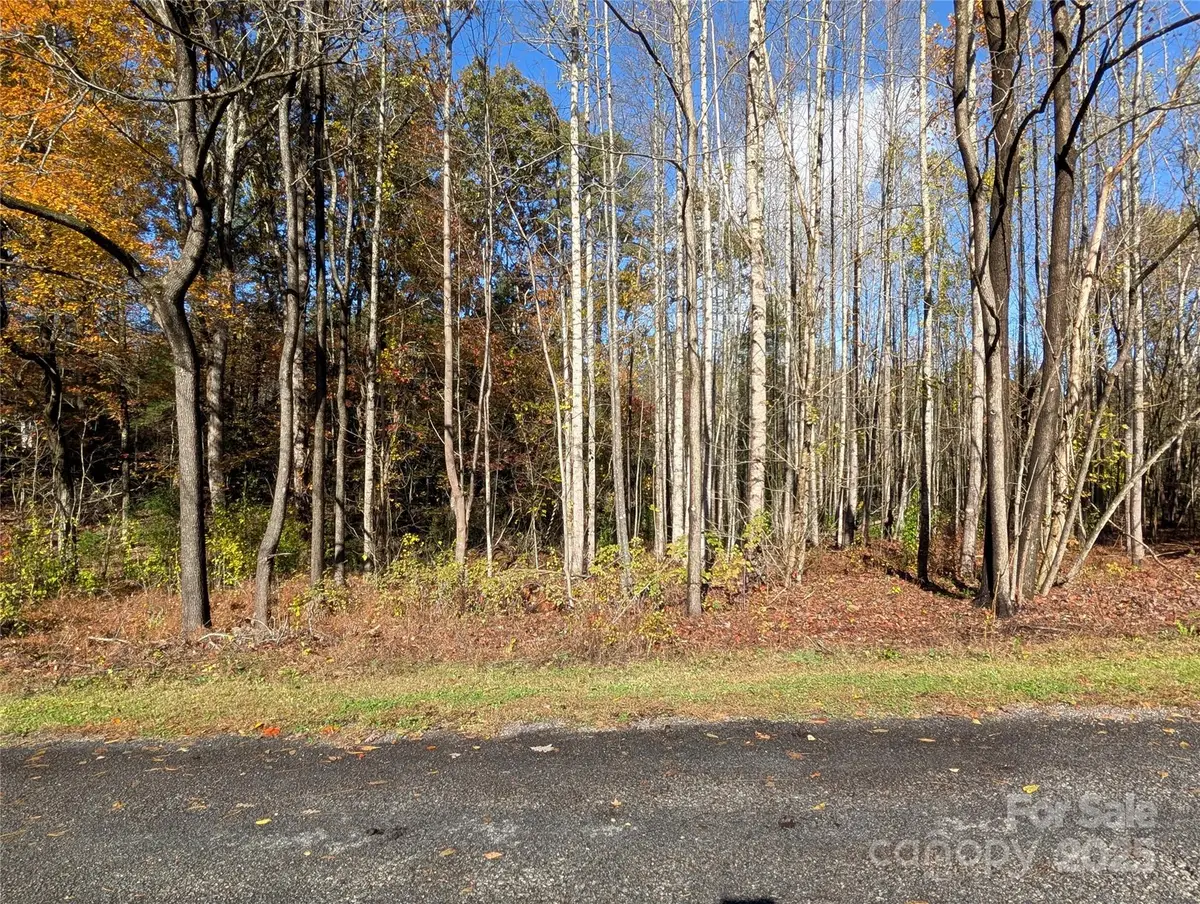 00 Old Roper Road, Hendersonville, NC 28791 - #1