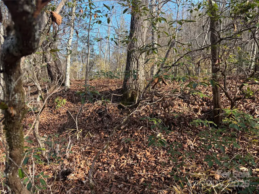 Lot 49 Harmony Grove Road #49, Nebo, NC 28761 - Image #3