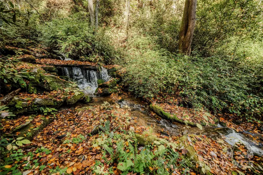 195 Still Waters Lane, Brevard, NC 28712 - Image #2