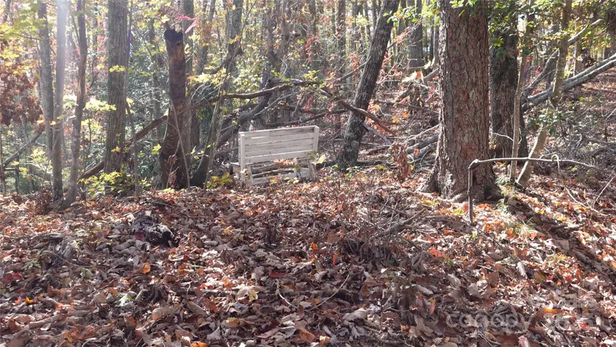 00 Lytle Mountain Road, Marion, NC 28752 - Image #2