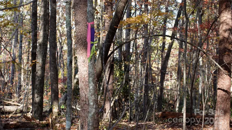 00 Lytle Mountain Road, Marion, NC 28752 - Image #3