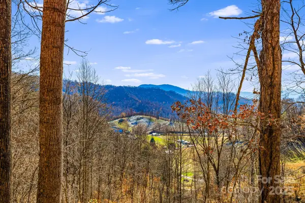 550 Cale Way, Clyde, NC 28721