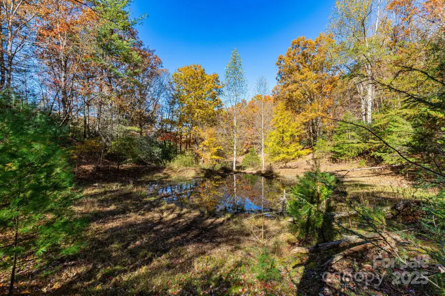 671 Island Hollow Road, Hot Springs, NC 28743 - Image #3