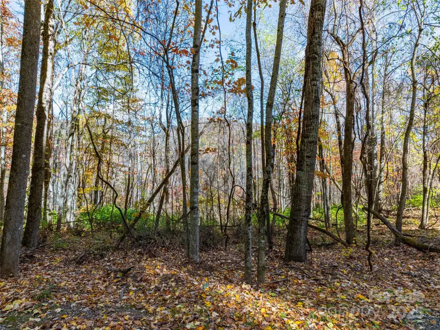 00 Village Lane #Lot 1, Waynesville, NC 28786 - Image #3