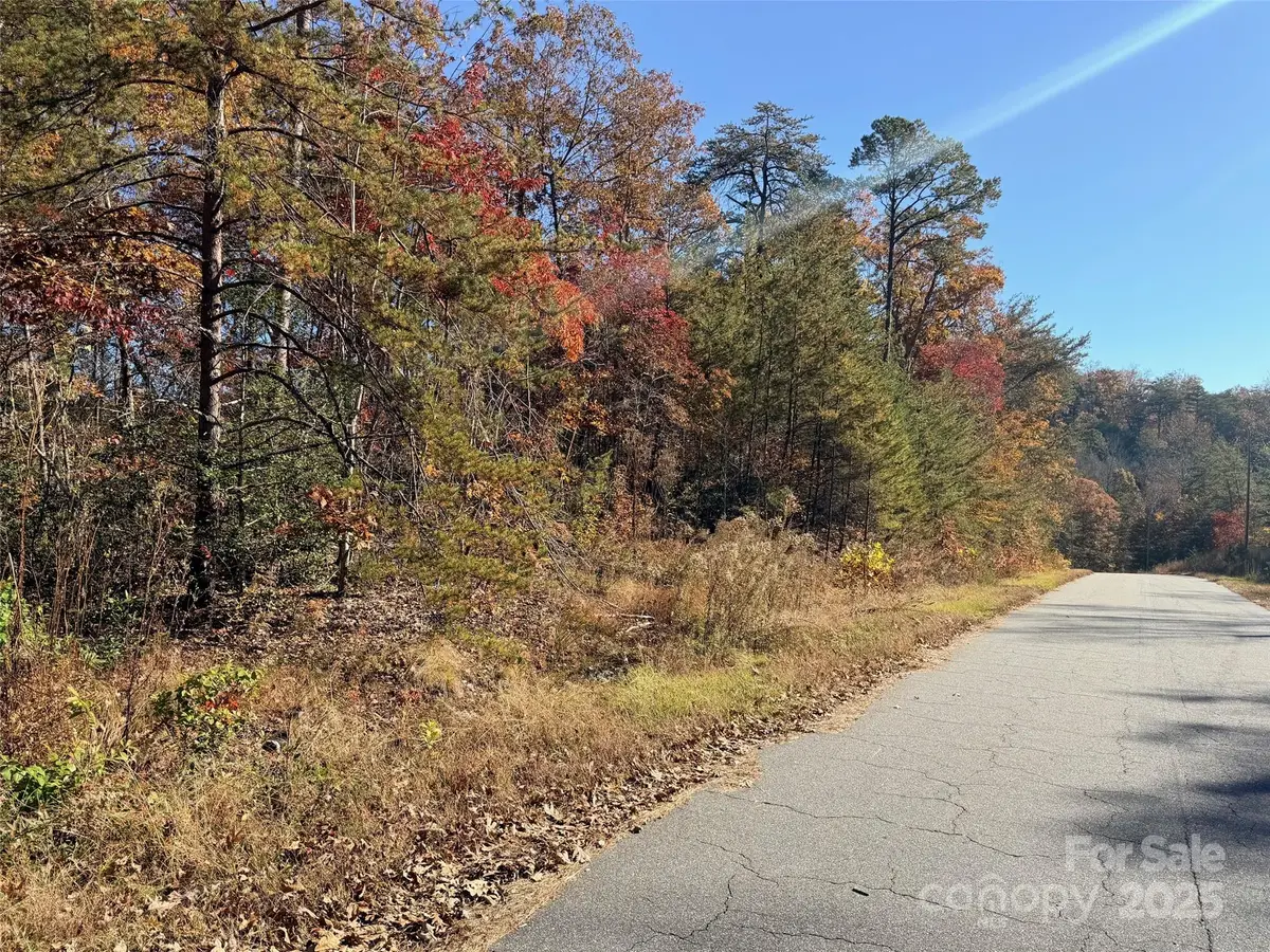 000 Antioch Road, Lake Lure, NC 28746 - #1