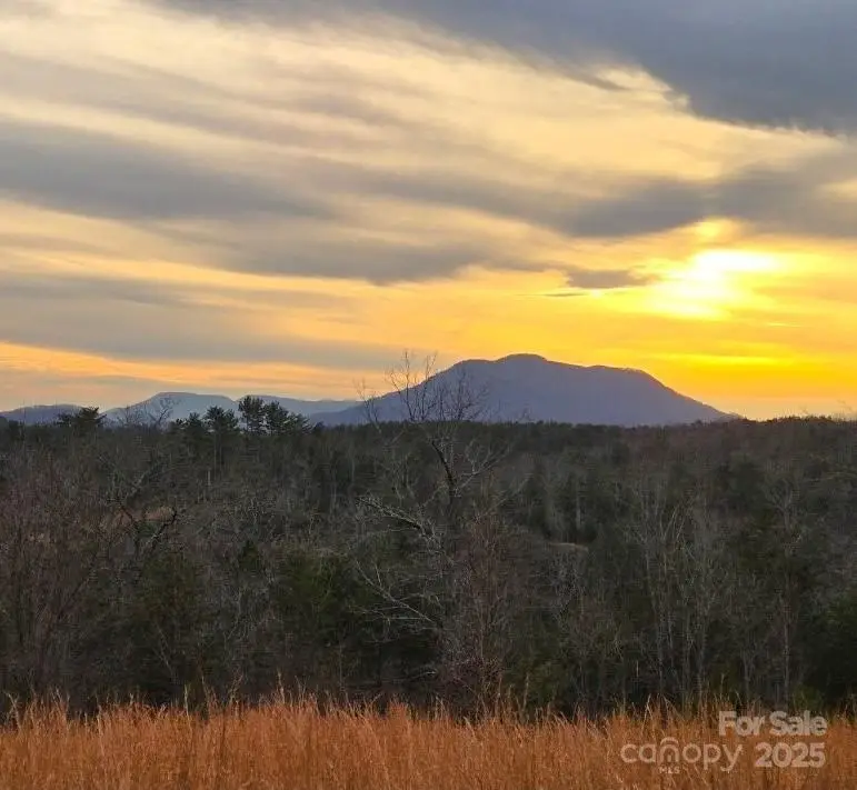 Lot #1 Price Summit Way, Mill Spring, NC 28756 - Image #1