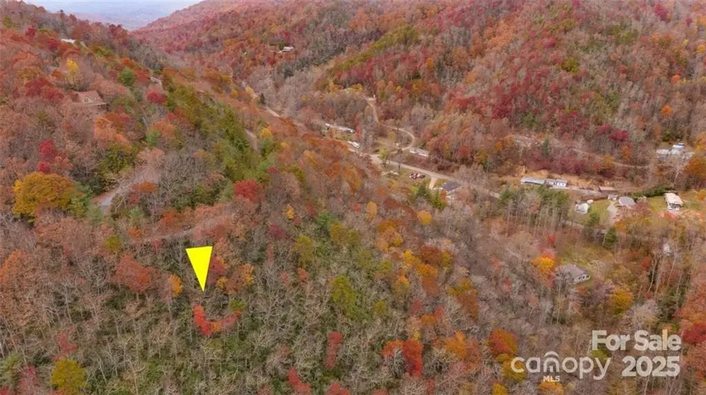 82 Davey Crockett Road, Fairview, NC 28730 - Image #1