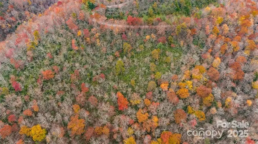 82 Davey Crockett Road, Fairview, NC 28730 - Image #2