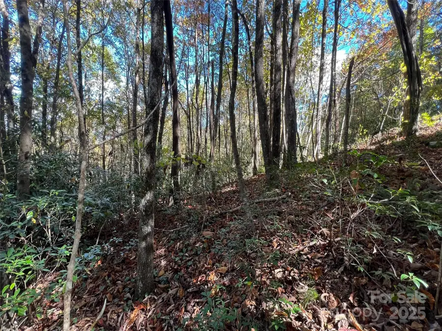 0 Wild Magnolia Way #46, Zirconia, NC 28790 - Image #2