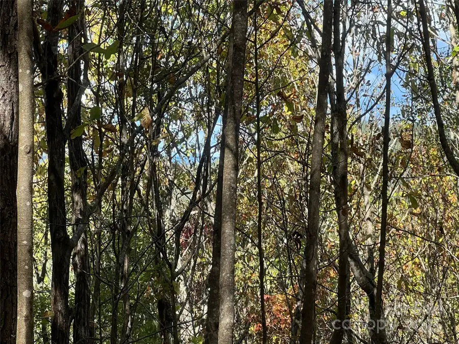 0 Wild Magnolia Way #46, Zirconia, NC 28790 - Image #3