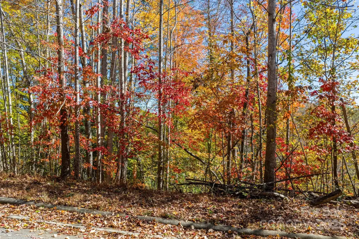 528 Park Way, Lenoir, NC 28645 - #1