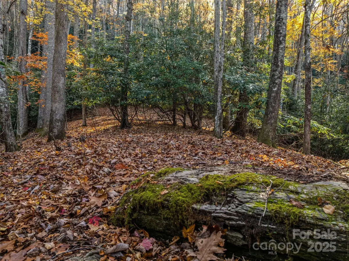 241 Skye Drive, Pisgah Forest, NC 28768 - Image #1