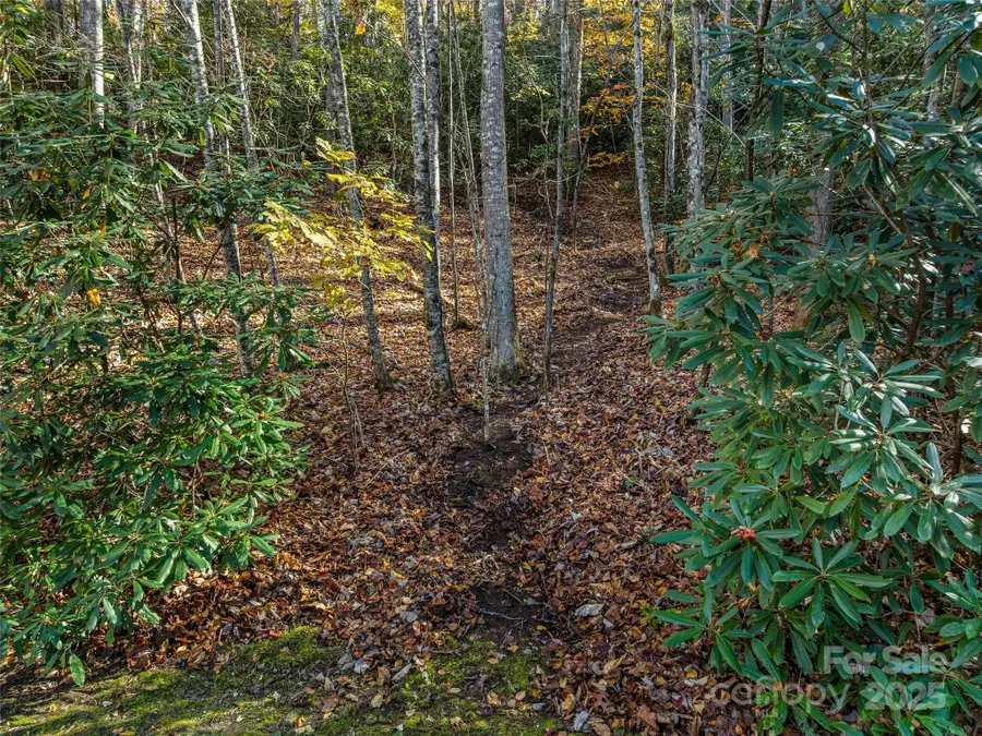 241 Skye Drive, Pisgah Forest, NC 28768 - Image #3