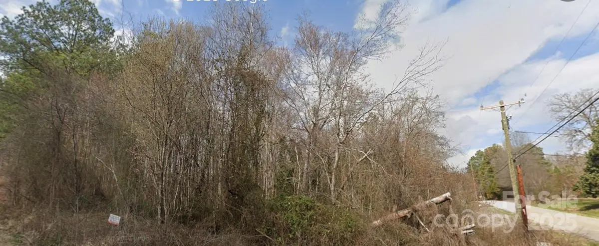 0 Pine Tree Place, Salisbury, NC 28144 - Image #1