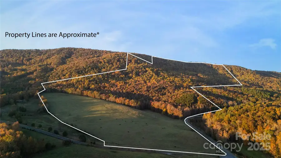 TBD Wards Gap Road, Casar, NC 28020 - Image #2