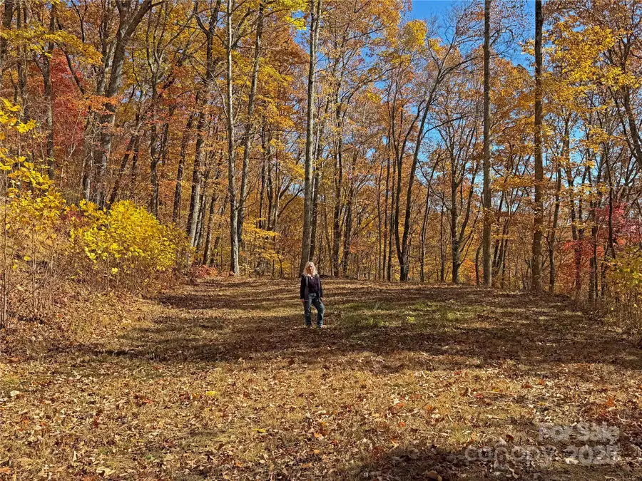 890 Panther Branch Road, Hot Springs, NC 28743 - Image #3