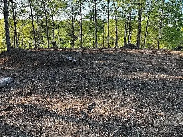 8118 Summit Ridge Drive, Catawba, NC 28609 - Image #3