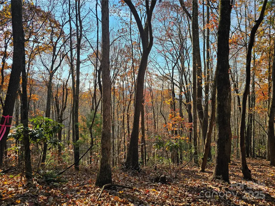 9999-13 Bob Barnwell Road, Asheville, NC 28803 - Image #3