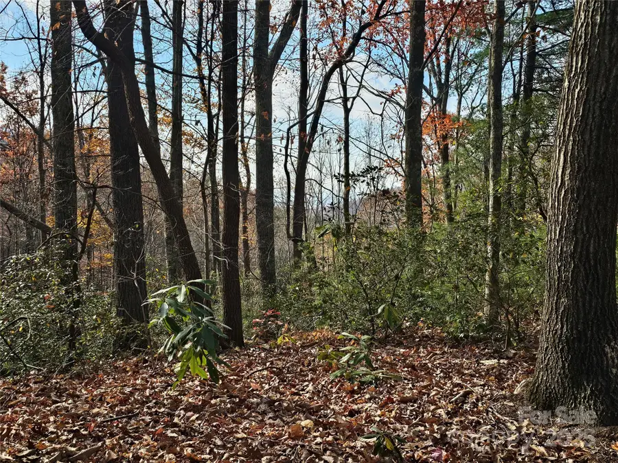 9999-16 Bob Barnwell Road, Asheville, NC 28803 - Image #3