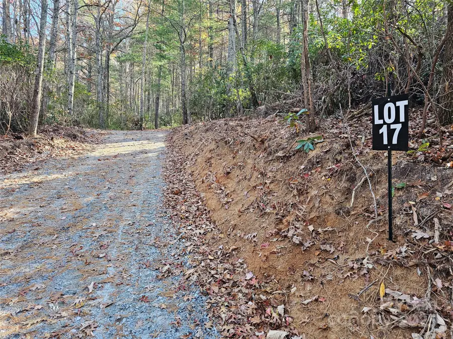 9999-17 Bob Barnwell Road, Asheville, NC 28803 - Image #2