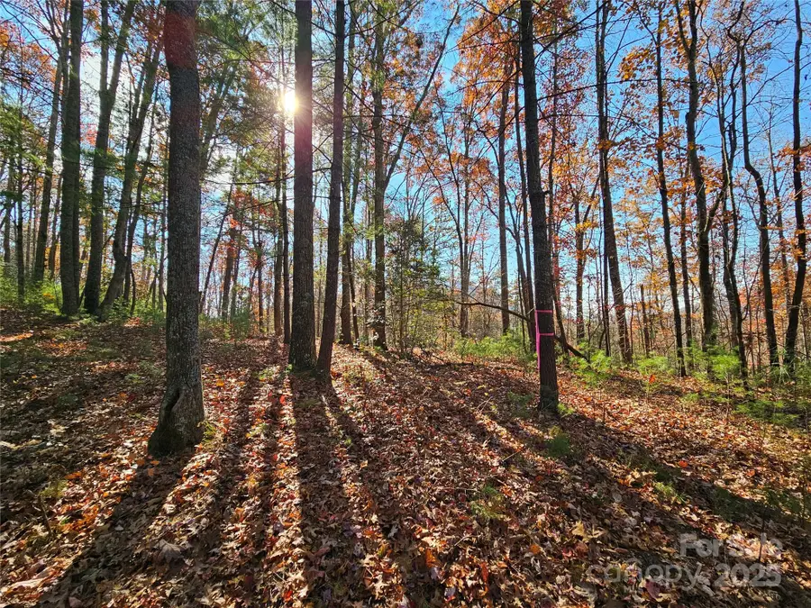 9999-17 Bob Barnwell Road, Asheville, NC 28803 - Image #3